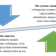 Jak założyć zagrodę edukacyjną? Przewodnik po formalnościach i dofinansowaniu