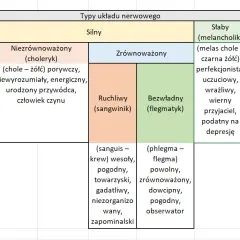 Motywacja w karierze: Jak wybrać zawód, który da Ci satysfakcję?