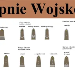 Pierwszy stopień wojskowy po studiach? Poznaj podporucznika!