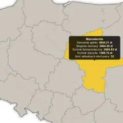 Farmacja: Praca po studiach. Gdzie zarobisz najwięcej?