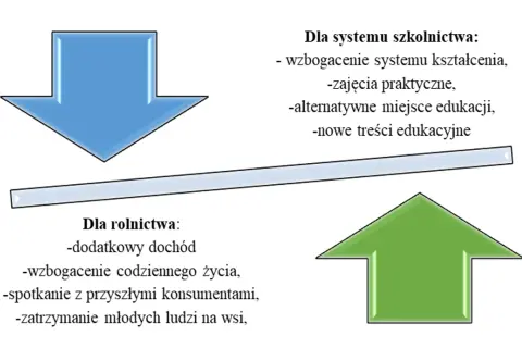 Jak założyć zagrodę edukacyjną? Przewodnik po formalnościach i dofinansowaniu