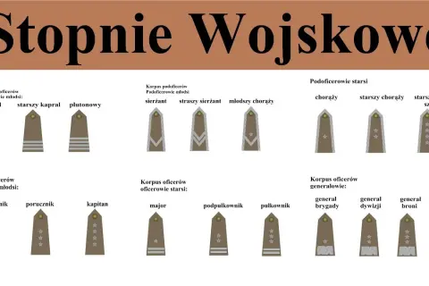 Pierwszy stopień wojskowy po studiach? Poznaj podporucznika!
