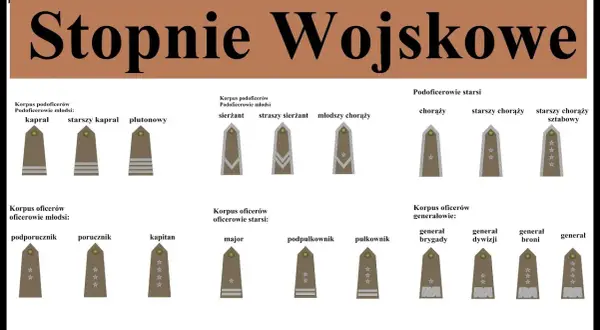 Pierwszy stopień wojskowy po studiach? Poznaj podporucznika!