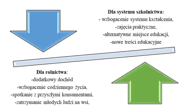 Jak założyć zagrodę edukacyjną? Przewodnik po formalnościach i dofinansowaniu