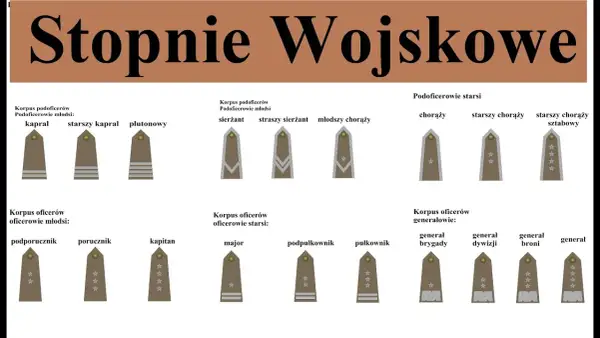 Pierwszy stopień wojskowy po studiach? Poznaj podporucznika!